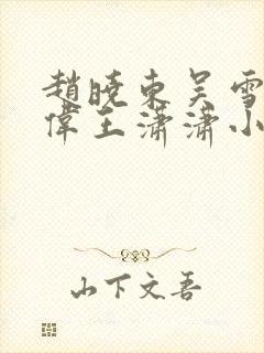 赵晓东吴雪晴郑伟王潇潇小说名字