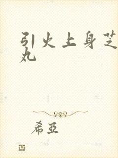 引火上身芝麻糖丸