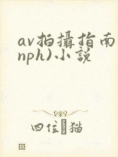 av拍摄指南(nph)小说