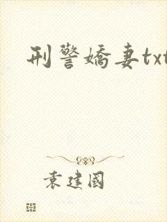 刑警娇妻txt