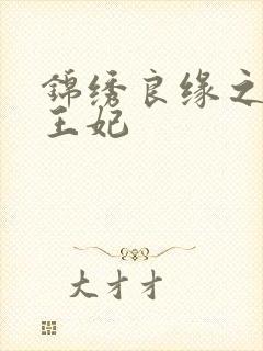 锦绣良缘之北地王妃