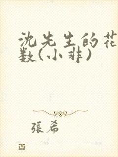 沈先生的花式调数(小非)