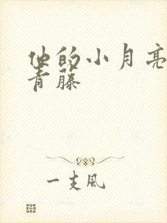 他的小月亮by青藤