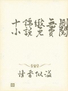 十锦缎无删原著小说免费阅读