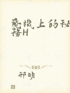 飞机上的秘密服务H