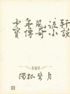 少年风流轩辕大宝传奇小说