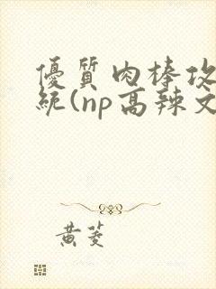 优质肉棒攻略系统(np高辣文)