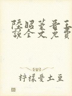 陆昭菱晋王的小说全文免费阅读