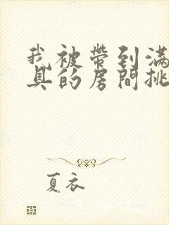 我被带到满是玩具的房间挑调游戏