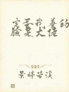 完蛋我养的小白脸是大佬