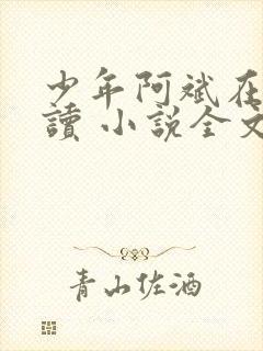 少年阿斌在线阅读 小说全文免费