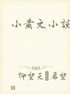 小黄文小说