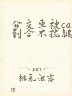 公交车被cao到合不拢腿视频