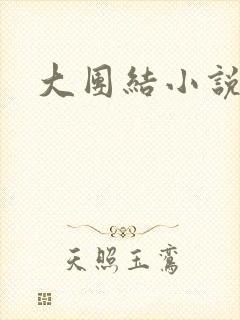 大团结小说全文