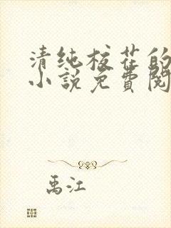 清纯校花的秘密小说免费阅读