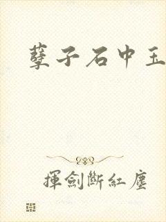 孽子石中玉