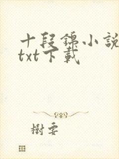 十段锦小说全本txt下载