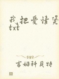 我把爱情煲成汤txt