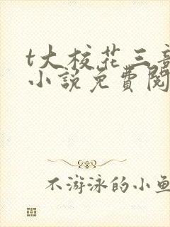 t大校花三部曲小说免费阅读全文