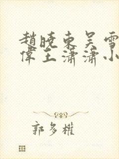 赵晓东吴雪晴郑伟王潇潇小说