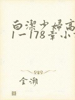 白洁少妇高义第1一178章小说