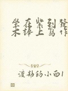 坐在紫到发黑的木棒上写作业