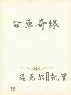 公车奇缘