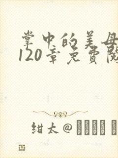 掌中的美母版主120章免费阅读