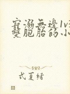 宠溺无边1v3双胞胎的小说