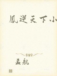凤逆天下小说