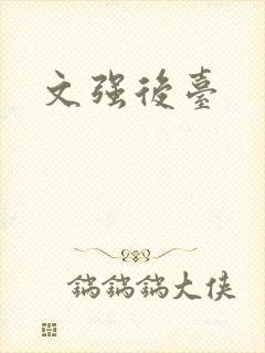 文强后台
