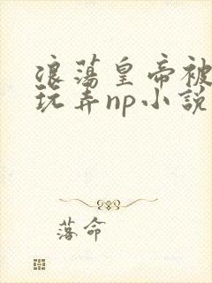 浪荡皇帝被多人玩弄np小说