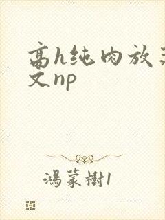 高h纯肉放荡h文np