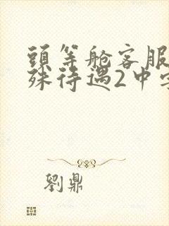 头等舱客服的特殊待遇2中字