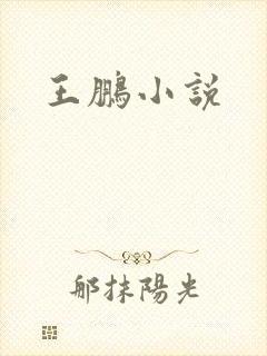 王鹏小说