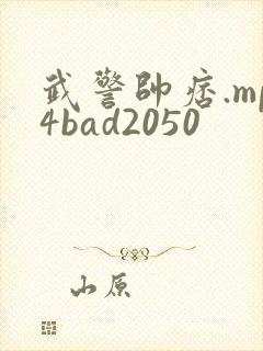 武警帅痞.mp4bad2050