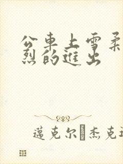 公车上雪柔被猛烈的进出