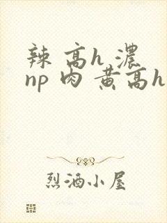 辣 高h 浓 np 肉 黄高h