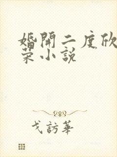 婚开二度欣欣向荣小说