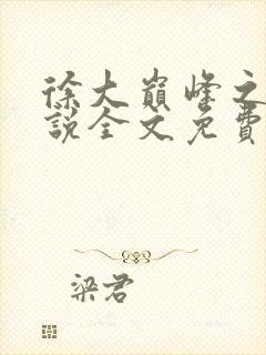 徐大巅峰之路小说全文免费阅读