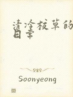 清冷校草的抹布日常