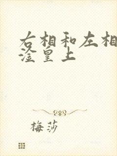 右相和左相一起淦皇上