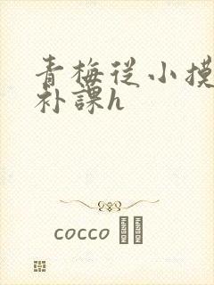 青梅从小摸到大补课h