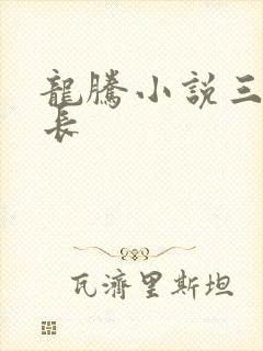 龙腾小说三宝局长