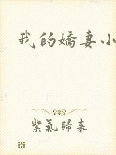 我的娇妻小说