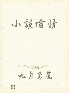 小说偷情