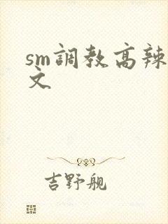sm调教高辣h文