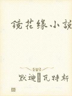 镜花缘小说