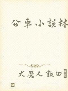 公车小说林蔓蔓