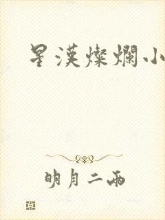 星汉灿烂小说